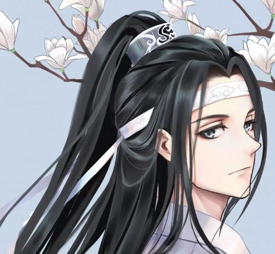 为何大家只知蓝曦臣不知蓝涣?只怪能扯他抹额的人还不