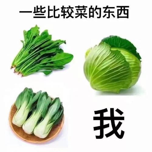 一些比较菜的东西 - 表情包 - 挖吧