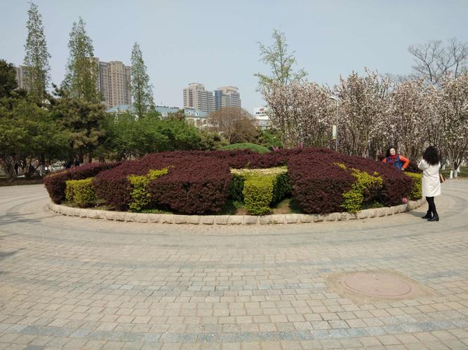 秦皇岛环岛公园满园花海郁金香美不胜收!