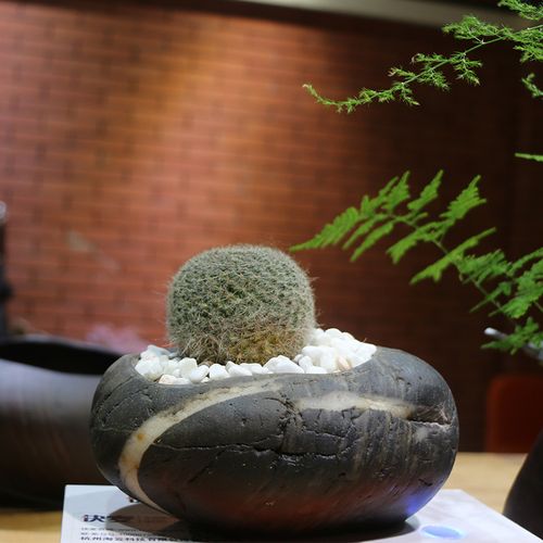 创意鹅卵石多肉花盆室内拇指盆摆件绿植花器植物仙人掌金属小花盆