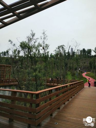 达州音乐公园有一马蜂窝