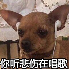表情包名称: 你听悲伤在唱歌关注公众号:bqbn33,每日更新斗图表情包!