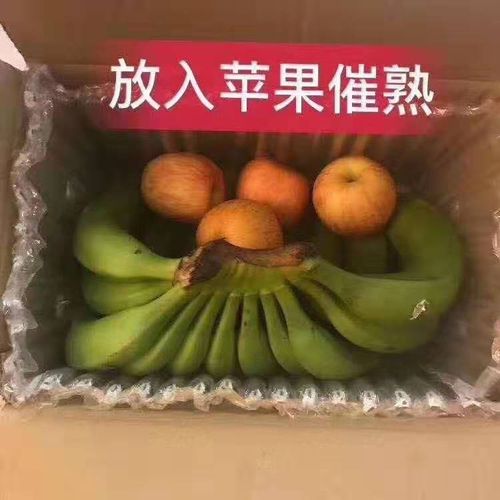 南宁 口感:香甜,软糯 特性:自然催熟,口感香甜软糯,远胜市场香蕉 糖度