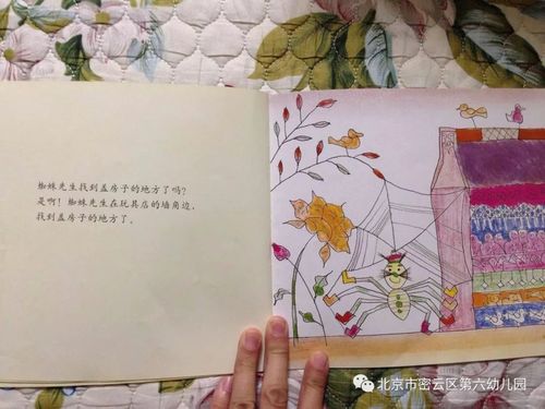 【幼儿讲绘本】——《蜘蛛先生要搬家》