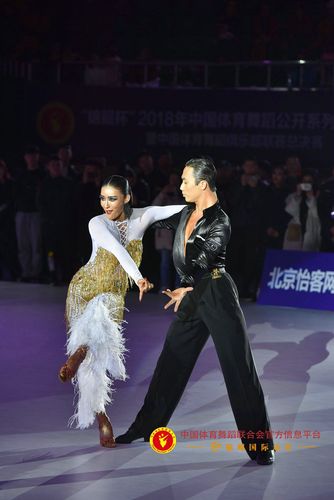 系列赛总决赛的8对选手与来自中国国际标准舞总会的a组4对拉丁舞选手