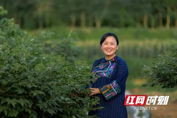 湖南3人上榜全国巾帼新农人创业典型她们有什么故事