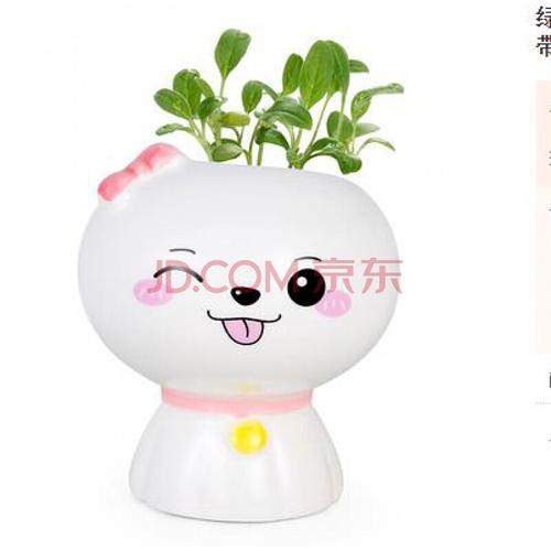 小花农小草人迷你室内长草头娃娃可爱创意小盆栽浇水长草植物娃娃 冰