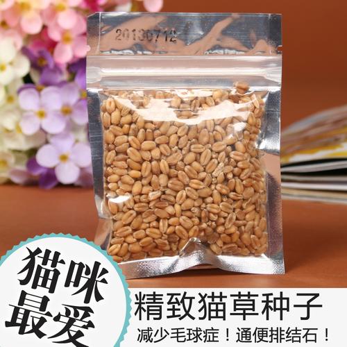 易种植有机猫草种子 调节肠胃 猫薄荷 猫零食化毛吐毛球 30g/包