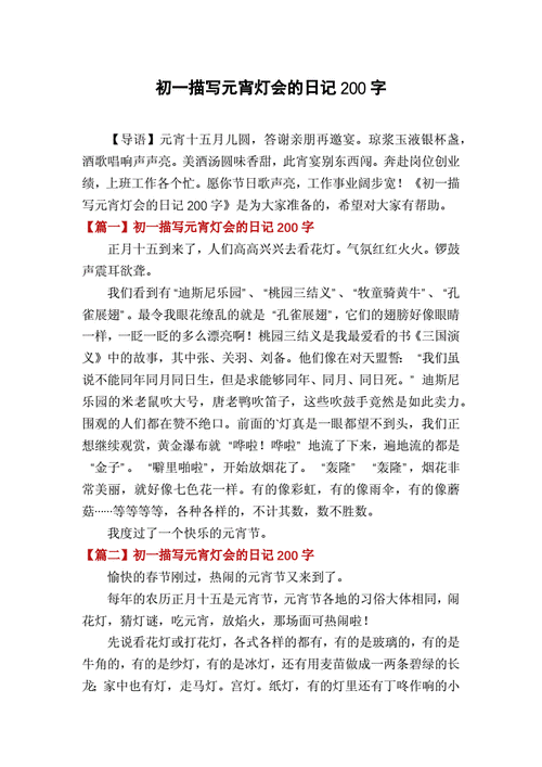 初一描写元宵灯会的日记200字.docx 3页