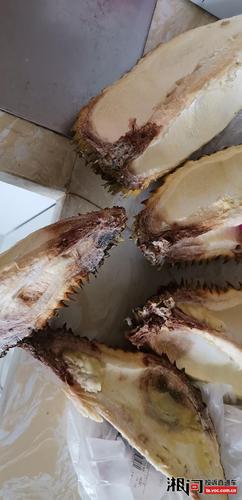 沈阳大润发售卖严重变质,长毛的榴莲 给消费者带来极大损害