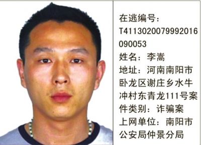 南阳市公安局通缉令(第一批)