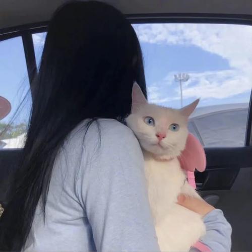 干净头像\你的名字是情诗