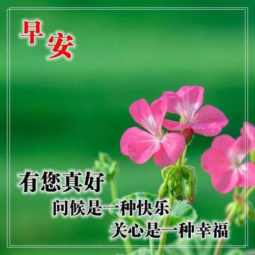 早上好问候语阳光句子,2020唯美早安祝福图片表情