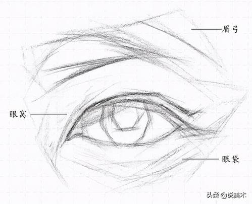 素描入门教程:眼睛结构的讲解以及画法步骤