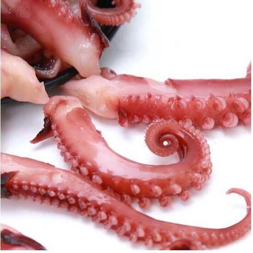鱿鱼新鲜超大海鲜章鱼冷冻八爪鱼脚冷冻章鱼