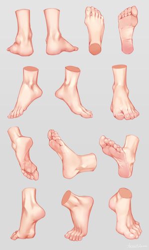 本文禁止转载或摘编 绘画教程 绘画 脚 技法 足 手 干货 人体结构