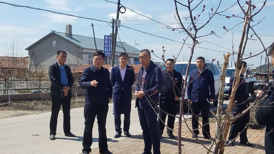 绥化市政协副主席海伦市委书记王学斌带领相关同志深入丰山乡调研指导