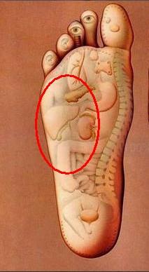 前几天,我的右脚脚骨突然很痛,就是图上的位置,其他地方正常,脚上没有