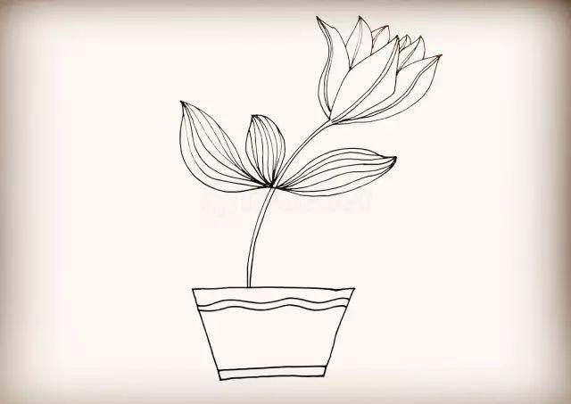 线条要画的密一些. 再来把它的花盆装饰一下.两条弧线一条横线.