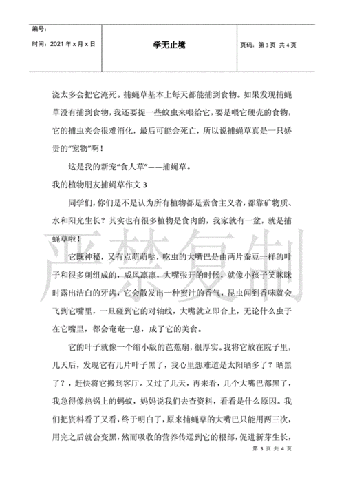 我的植物朋友捕蝇草作文.docx