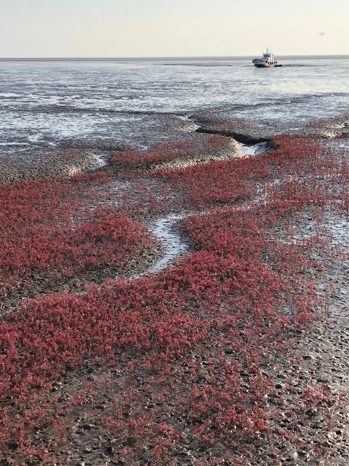 "青山""赤潮"相媲美