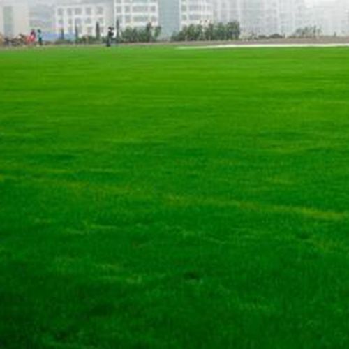 人工草坪 人工草坪施工 幼儿园地面防滑草坪 南京人工草坪