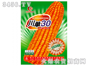 四川川单种业有限责任公司