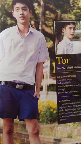 笑死,荷尔蒙 tor和三月小时候