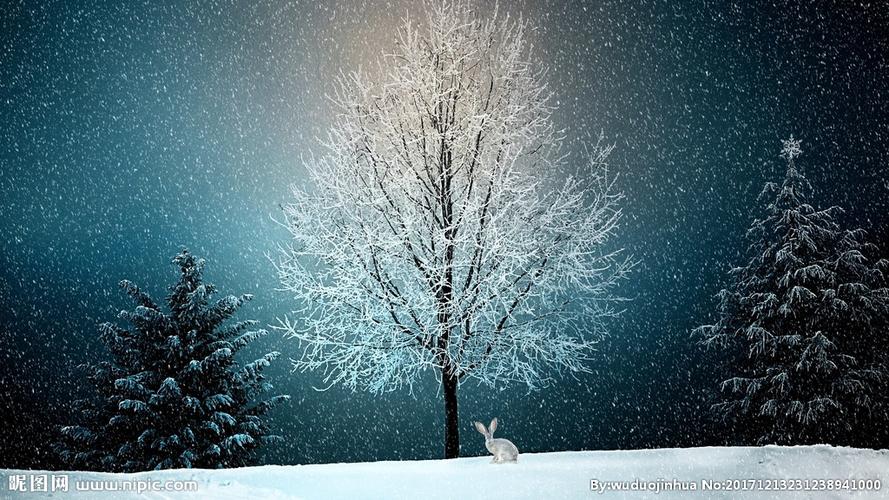 下雪的夜晚图片