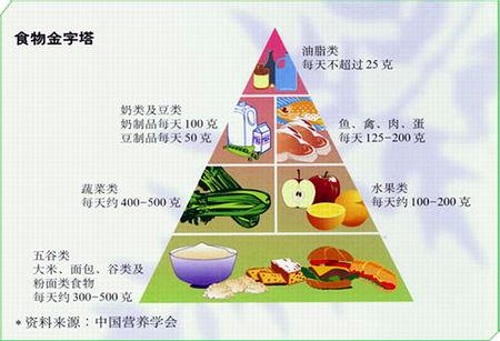 谁有食物金字塔的图片?