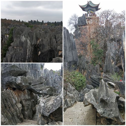 大石林景区最高处便是望峰亭了,登上望峰亭,大石林的美景尽收眼底.