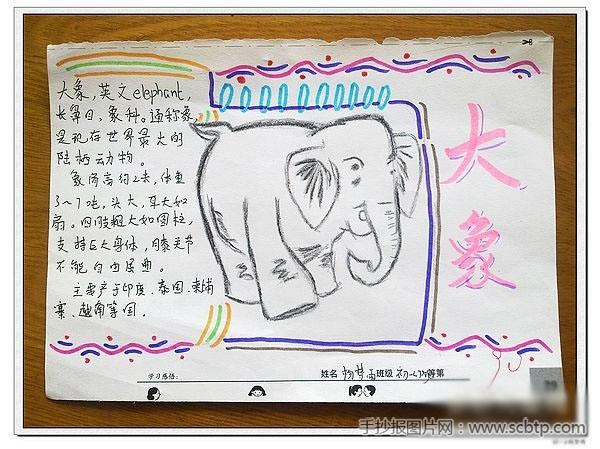 手抄报描述:这里是动物手抄报大全,动物手抄报版面设计图,动物手抄报