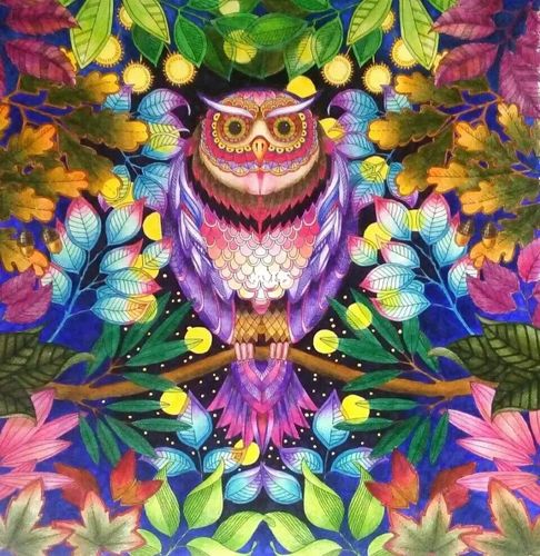 涂色:秘密花园-猫头鹰_秘密花园_线稿_涂色_文化_绘画