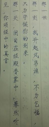 瘦金体书那一世