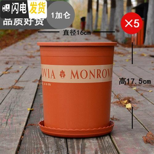 三维工匠加仑盆二代加厚1235塑料加仑花盆月季绿萝树脂阳台北欧风5个