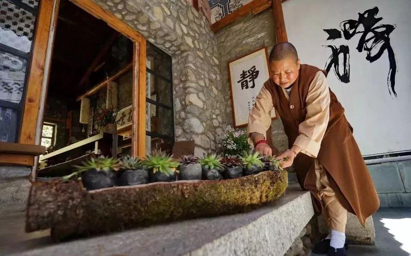 云南寂照庵,庵内的尼姑只种花,打造最美百花园,引来韩红想出家