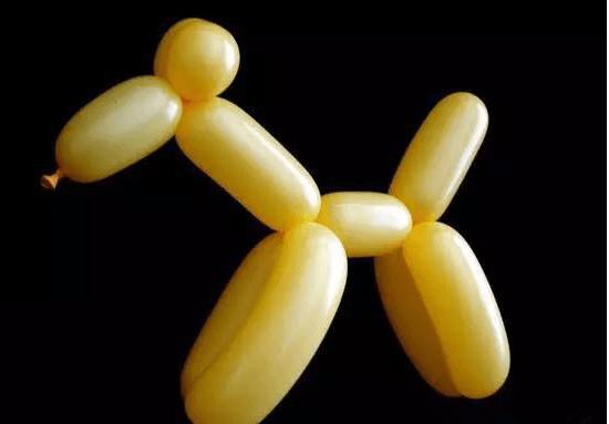 气球小狗造型教程图解教你长气球狗狗造型怎么编