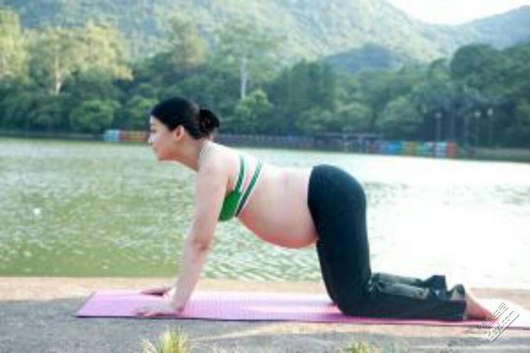 今天就来为你介绍5个孕妇瑜伽基本体式,真人示范这几个瑜伽动作