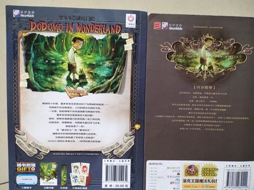 致所有查理九世的粉丝