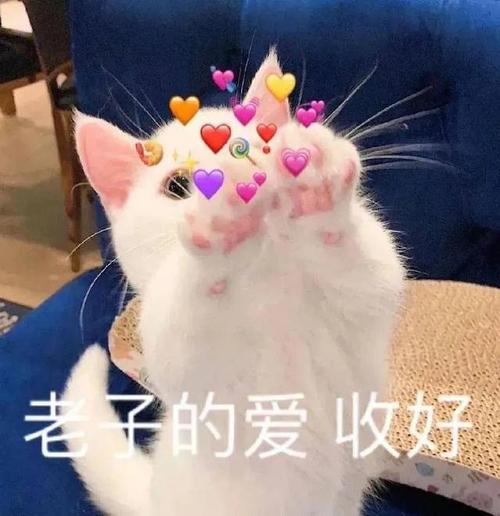 表情包谢谢宝贝很喜欢