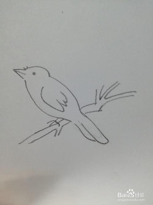 > 书画/音乐 1 首先画出喜鹊的头和嘴 2 然后画出喜鹊的身体和尾巴 3