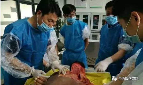 微创针刀新鲜尸体解剖与模拟临床操作实训高级研修班4