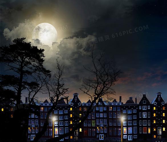 关键词:夜晚月亮树木建筑灯光风景其它类别背景花边图精灵为您提供