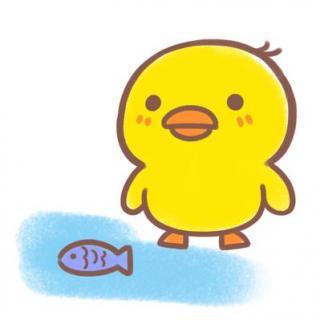 风也温柔你的耳朵 小鸭子的故事  63 1