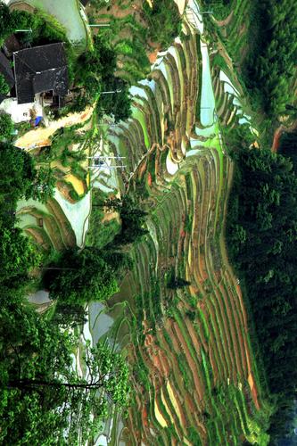其它 紫鹊界梯田 写美篇   紫鹊界梯田,位于湖南省娄底市新化县水车镇