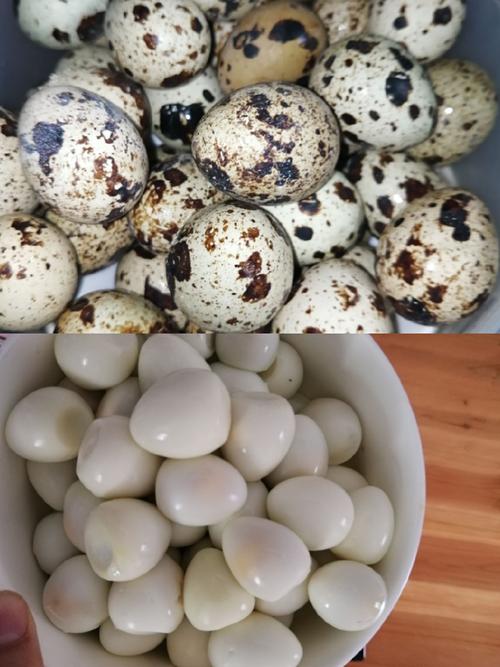 冻鹌鹑蛋