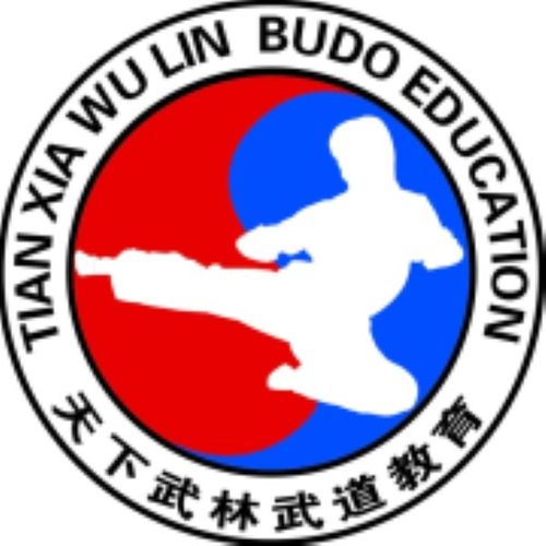 中国国际跆拳道联盟(itf)官方网站