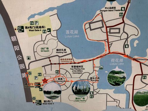 北京朝阳公园(中区)游记——————2020年8月1日上午