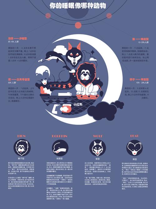 信息可视化设计 | 找回你的睡眠节奏98_设计_插画