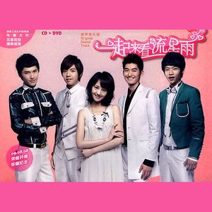 想念的歌电视剧一起来看流星雨插曲